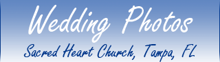 Wedding Photos